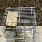 قفص عصافير للبيع