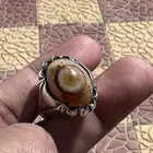 سليماني هندي فلاور