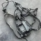 ضفيرة كابريس 2006