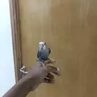 محايل عسير