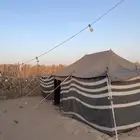 بيت شعر