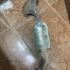 قزوز شاص مليان