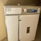 فقاسة 528بيضه جديده