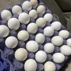 بيض بلدي مخصب وصالح للاكل