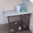 قفاص عصافير في 2 صغار وفي قفص كبير متر بمتر وارتفاع متر