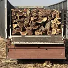 ح ط ب المدينه