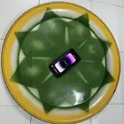 صحون ذبايح كبيره