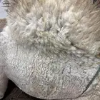 حاشي لباني شرط عمره (5) شهور والطعم لذيذ وتحدي