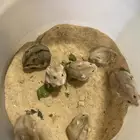 هامستر روسي أليف