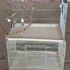 قفص طيور مستعملة وبحالة جيدة