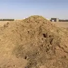 سماد غنم بدون مقابل