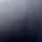 الي عنده كلب مالتيز للتبني