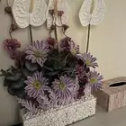 فازه ورد استقبال