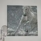 سلام عليكم ورحمة الله وبركاته