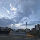 فحص الحمل للاغنام بالسونار فحص دقيق