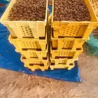 صناديق تم خلاص