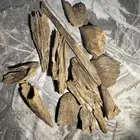 عود ارياني سوبر مرتفع 39.50 غرام