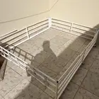 هنقلين داتسون شبك غمارة
