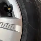 جنوط يارس