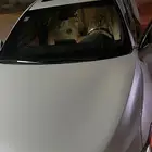 افالون برميوم