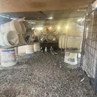 حمام