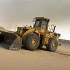 شيول للإجار 980
