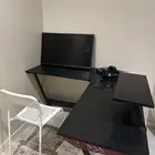 الليث