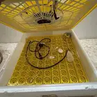 فقاصات اتماتيك