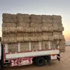 تبن بر صافي