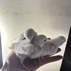 فروخ روز غر تم البيع خارج الموقع