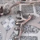 هدرز شروكي 99 وكاله