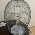 قفص جديد