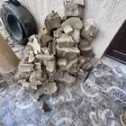 حطب من شجرة زيتون للبيع مع برادة الخشب