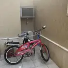 سيكل رامبو اندنوسي اصلي