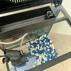للبيع حوض اسماك