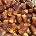 صقعي الدلم