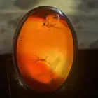 خاتم عقيق يمني احمر شجري
