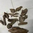 عود نوادر مروكي اصقون