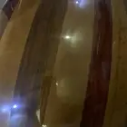 عود موسيقى
