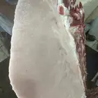 حاشي بلدي على الشروط مسحوب من أمه امس والطعم تحدي