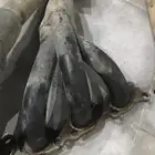 هدرز جي اكس ار 6 سلندر طقم مفتاح استبنه