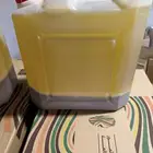 زيت البان العربي زيت المورنقى