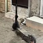 سكوتر للبيع شغال مع الشاحن