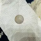 قرش 1 قطعه نادره