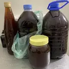 عسل شوكيات