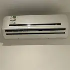 سبلت