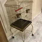 قفص ببغاء كبير
