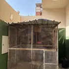 صندقة طيور