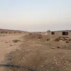 سماد غنم فيه قديم وجديد