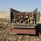 ح ط ب المدينه